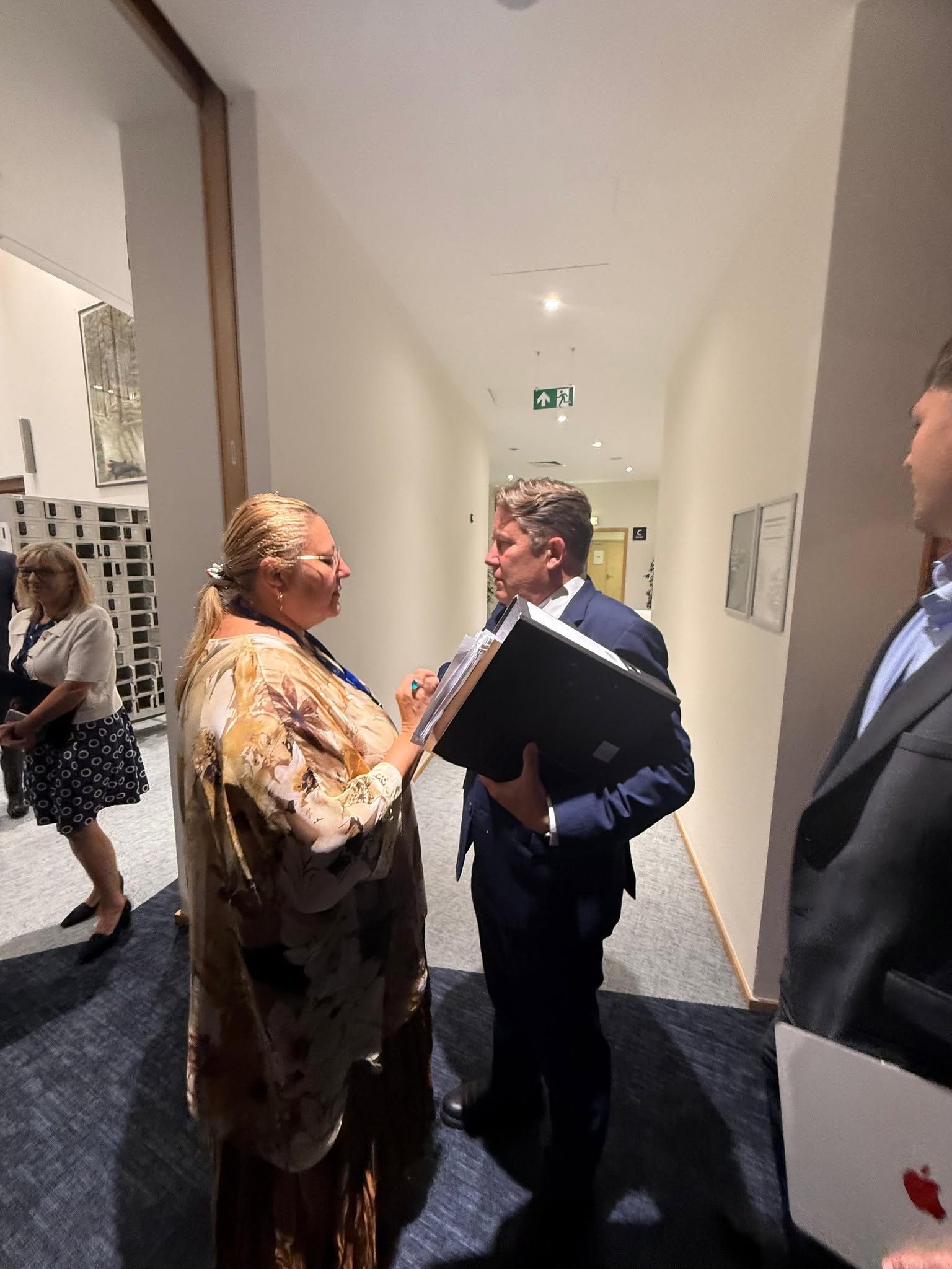 Diana Iovanovici-Șoșoacă și Darragh O’Brien în timpul discuțiilor